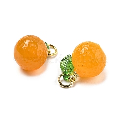 Dyed Natural Agate Orange Charms&nbsp;G-U025-07G