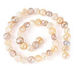 1 Strand Natural Cultured Freshwater Pearl Beads Strands&nbsp;PEAR-TA0001-17