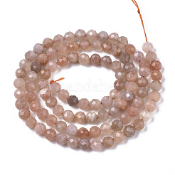 Natural Sunstone Beads Strands&nbsp;G-N328-009