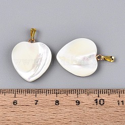 Natural Trochus Shell Pendants&nbsp;SSHEL-T017-41