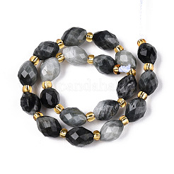 Natural Eagle Eye Stone Beads Strands&nbsp;G-N342-53-8x6-03
