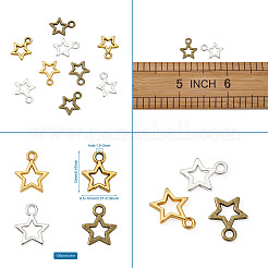 Alloy Charms&nbsp;PALLOY-CD0001-03