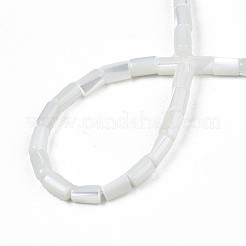 Natural Freshwater Shell Beads Strands&nbsp;X-SHEL-N003-26-A01