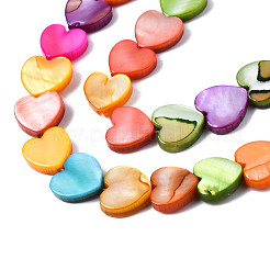 Natural Freshwater Shell Beads Strands&nbsp;SHEL-S278-024A