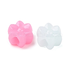 Plastic European Beads&nbsp;KY-Z003-10