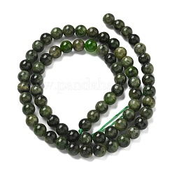 Natural Green Diopside Beads Strands&nbsp;G-K382-B01-01