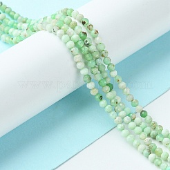 Natural Chrysoprase Beads Strands&nbsp;G-F748-X01-02B