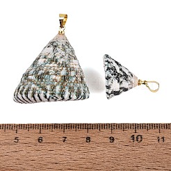 Brass & Natural Spiral Shell Pendants&nbsp;SHEL-Q029-25KCG
