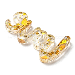 Transparent Acrylic Cabochons&nbsp;TACR-Z001-01D