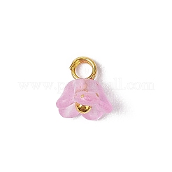 60Pcs 12 Colors Frosted Acrylic Flower Charms&nbsp;PALLOY-JF03550