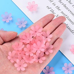 Transparent Acrylic Beads&nbsp;MACR-S373-107-D05