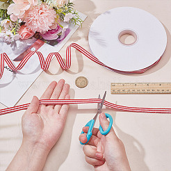 Polyester Stripe Ribbon&nbsp;OCOR-WH0101-167B