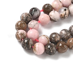 Natural Argentina Rhodonite Beads Strands&nbsp;G-G271-B02-6mm