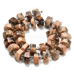 Natural Feldspar Beads Strands&nbsp;G-L642-H04-01