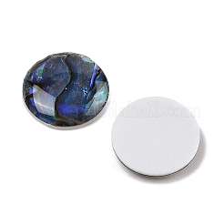 Natural Paua Shell Cabochons&nbsp;SSHEL-I026-20B