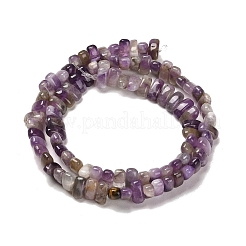 Natural Amethyst Beads Strands&nbsp;G-Q167-B12-01