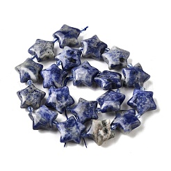 Natural Sodalite Beads Strands&nbsp;G-U023-C01-04