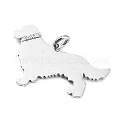 Non-Tarnish 304 Stainless Steel Pendants&nbsp;X-STAS-E205-10P