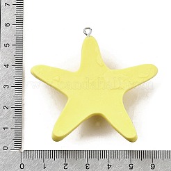 Opaque Resin Big Pendants&nbsp;X-CRES-D313-01P