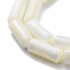Natural Trochus Shell Beads Strands&nbsp;SSHEL-S266-020A-05