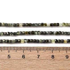 Natural Prehnite Beads Strands&nbsp;G-RM2025-C26-A