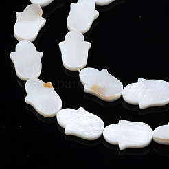 Natural Freshwater Shell Beads Strands&nbsp;SHEL-S278-02-A01