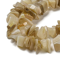 Natural Yellow Shell Beads Strands&nbsp;SSHEL-H072-05
