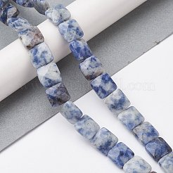 Natural Blue Spot Jasper Beads Strands&nbsp;G-K359-B19-01
