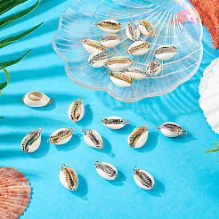 24Pcs 4 Styles Electroplate Cowrie Shell Link Connectors Charms and Pendants&nbsp;SHEL-TA0001-25