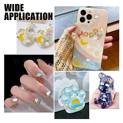 Handmade Polymer Clay Cabochons&nbsp;CLAY-CP0001-03