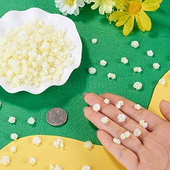 200Pcs Flower & Butterfly Resin Cabochons&nbsp;CRES-TA0001-89D