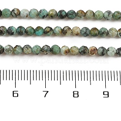 Natural African Turquoise(Jasper) Beads Strands&nbsp;G-P472-01