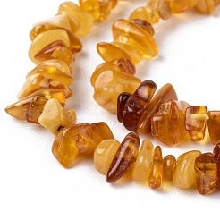 Natural Amber Chip Beads Strands&nbsp;G-E271-81