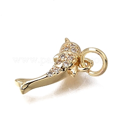 Brass Micro Pave Clear Cubic Zirconia Charms&nbsp;KK-D110-08A-G