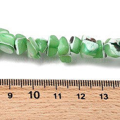 Natural Trochid Shell/Trochus Shell Beads Strands&nbsp;SHEL-B003-02D