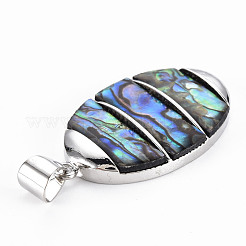 Natural Abalone Shell/Paua Shell Big Pendants&nbsp;SHEL-N333-009A-A01