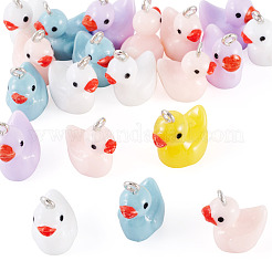 20Pcs Opaque Resin Pendants&nbsp;RESI-TADJ0001-09