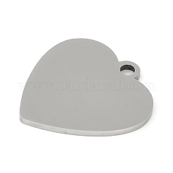 Non-Tarnish 304 Stainless Steel Pendants&nbsp;STAS-L279-005P