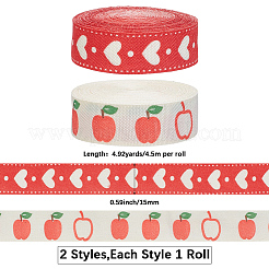 2 Rolls 2 Styles 50% Cotton & 50% Rayon Ribbon&nbsp;OCOR-CY0003-57