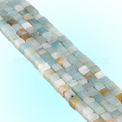 2 Strands Natural Flower Amazonite Beads Strands&nbsp;G-PA0001-80