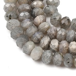 Natural Labradorite Beads Strands&nbsp;G-C259-A41-5x8mm