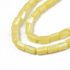 Natural Trochid Shell/Trochus Shell Beads Strands&nbsp;SHEL-N003-26-B10
