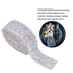 Glitter Resin Hotfix Rhinestone(Hot Melt Adhesive On The Back)&nbsp;OCOR-WH0052-01F