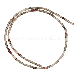 Natural African Bloodstone Beads Strands&nbsp;GG-CBAED3F-A10