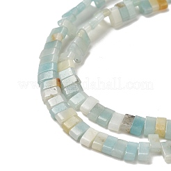 Natural Flower Amazonite Beads Strands&nbsp;G-Z045-A04-01