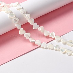 Natural Trochid Shell/Trochus Shell Beads&nbsp;SSHEL-O001-27B