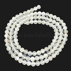Natural White Moonstone Beads Strands&nbsp;G-Z058-A01-01