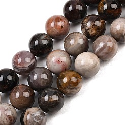 Natural Petrified Wood Beads Strands&nbsp;G-L648-A03-16mm-02