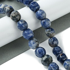 Natural Blue Spot Jasper Beads Strands&nbsp;G-H023-A07-01