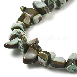 Dyed Natural Trochus Shell Beads Strands&nbsp;BSHE-Z006-01A